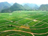经营树林、苗圃的种植企业遇到征地拆迁时，补偿如何计算?