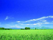 农村征地几个不易察觉的变化，或将改变农民的救济途径！