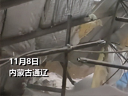 通辽市2245座牲畜棚受损！养殖户掩面痛哭，谁将为养殖户买单？