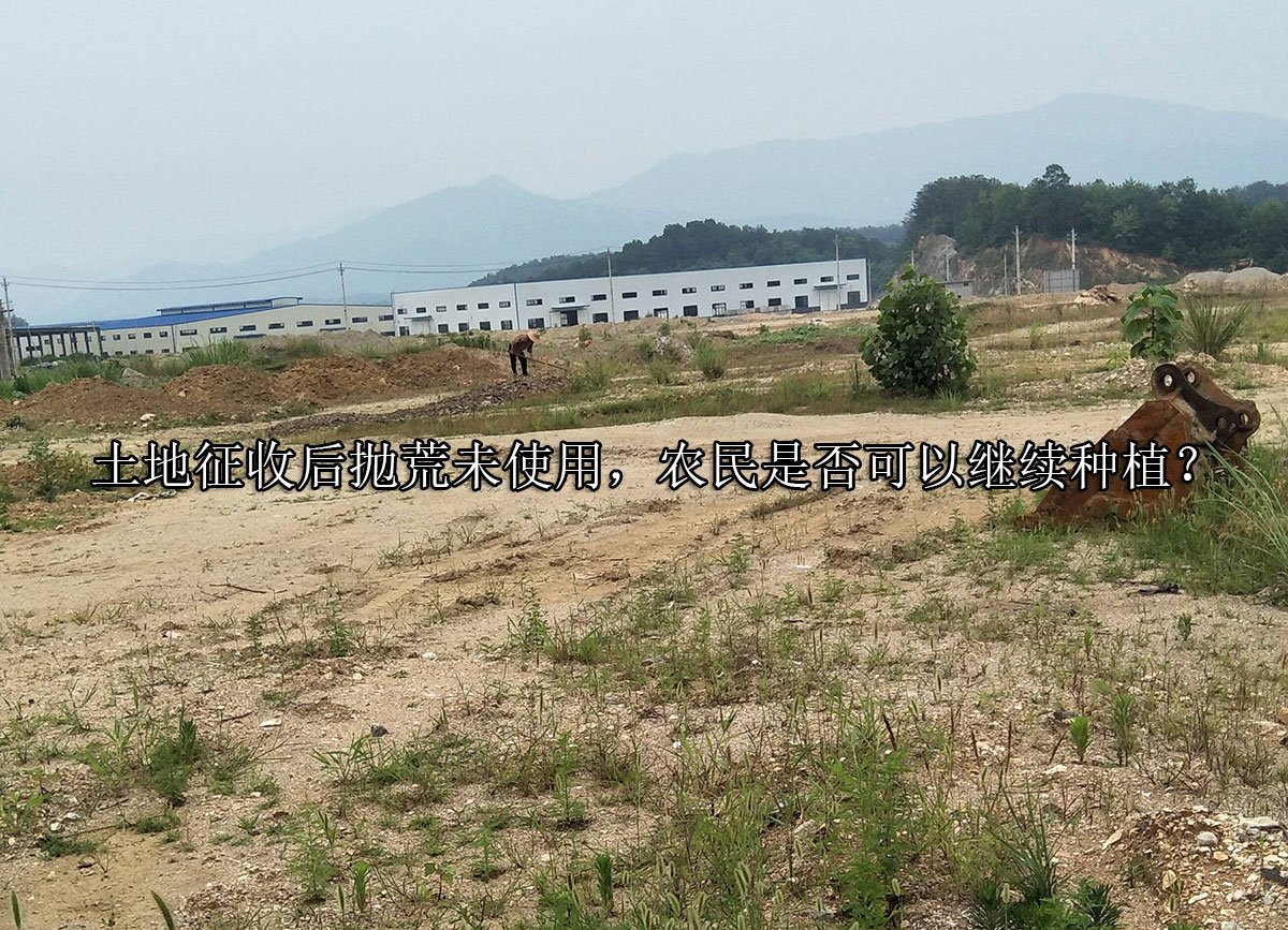 土地征收后抛荒未使用，农民是否可以继续种植？