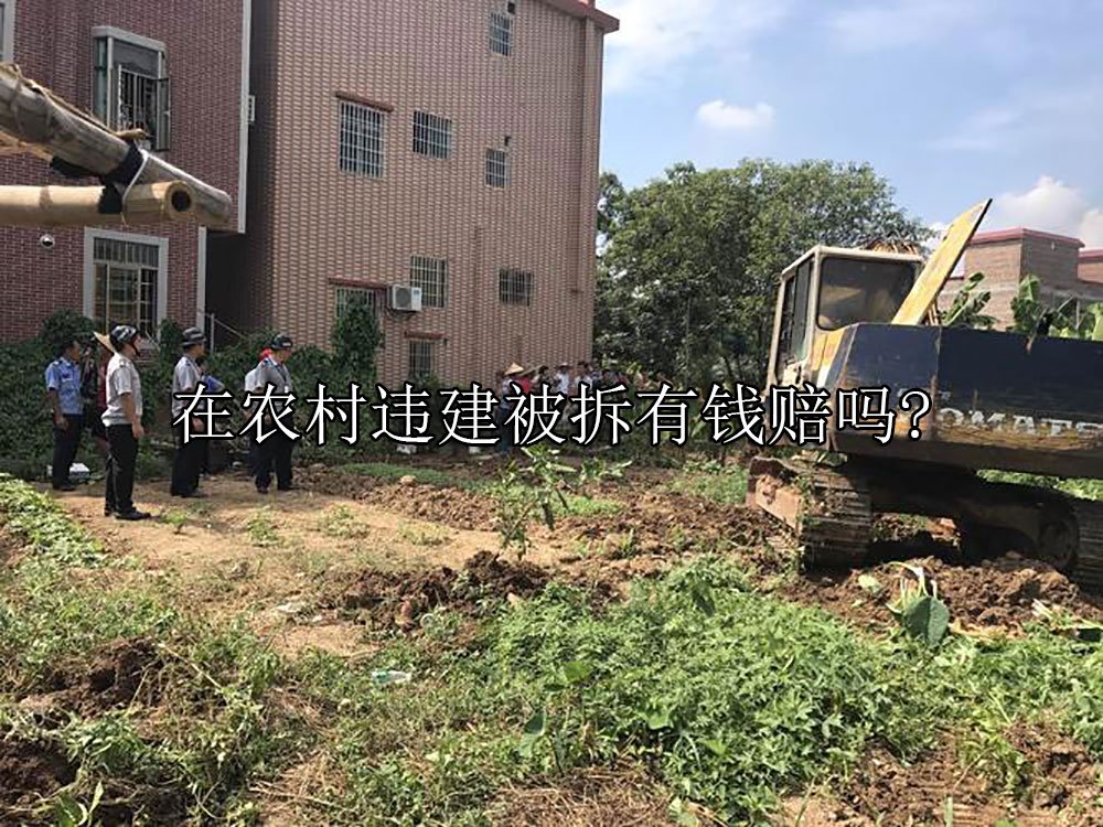 在农村违建被拆有钱赔吗?