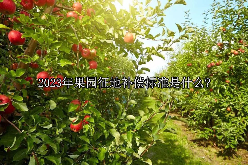 2023年果园征地补偿标准是什么