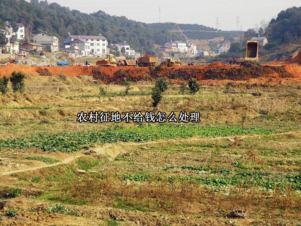 农村征地不给钱怎么处理