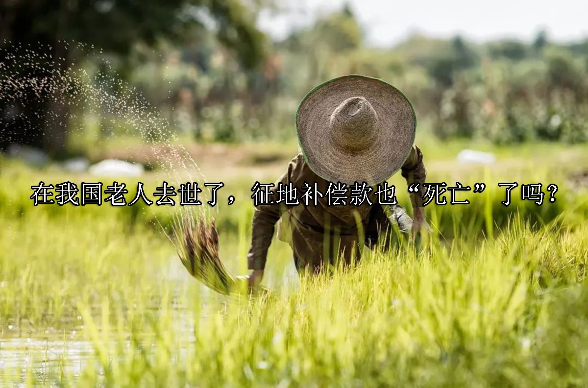 在我国老人去世了，征地补偿款也“死亡”了吗？
