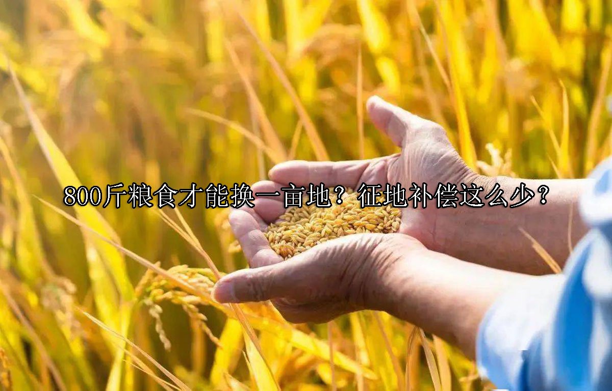 800斤粮食才能换一亩地？征地补偿这么少？