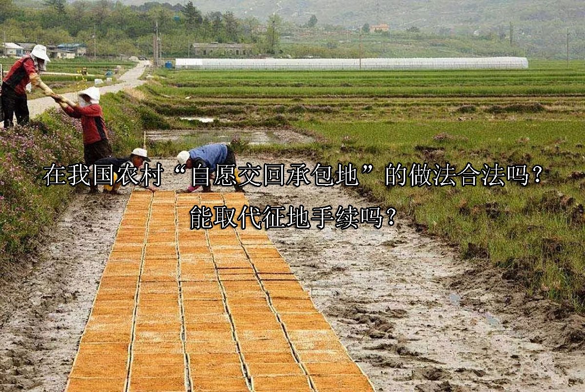 在我国农村“自愿交回承包地”的做法合法吗？能取代征地手续吗？