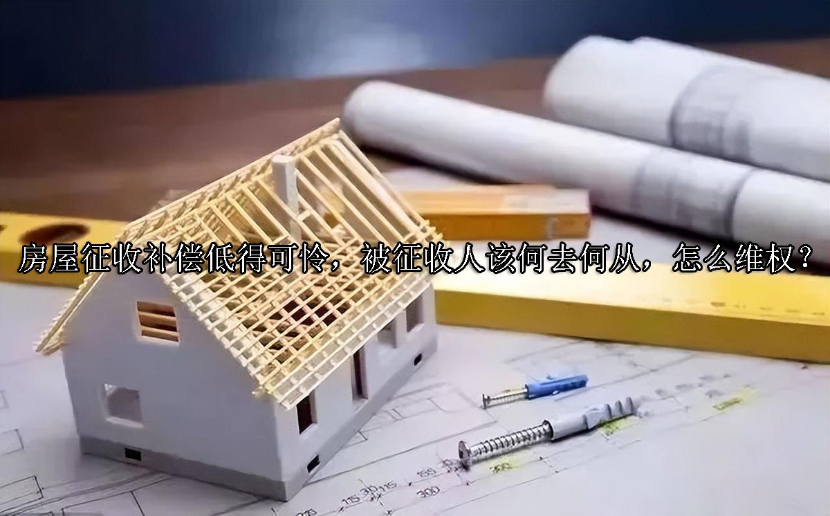 房屋征收补偿低得可怜，被征收人该何去何从，怎么维权？