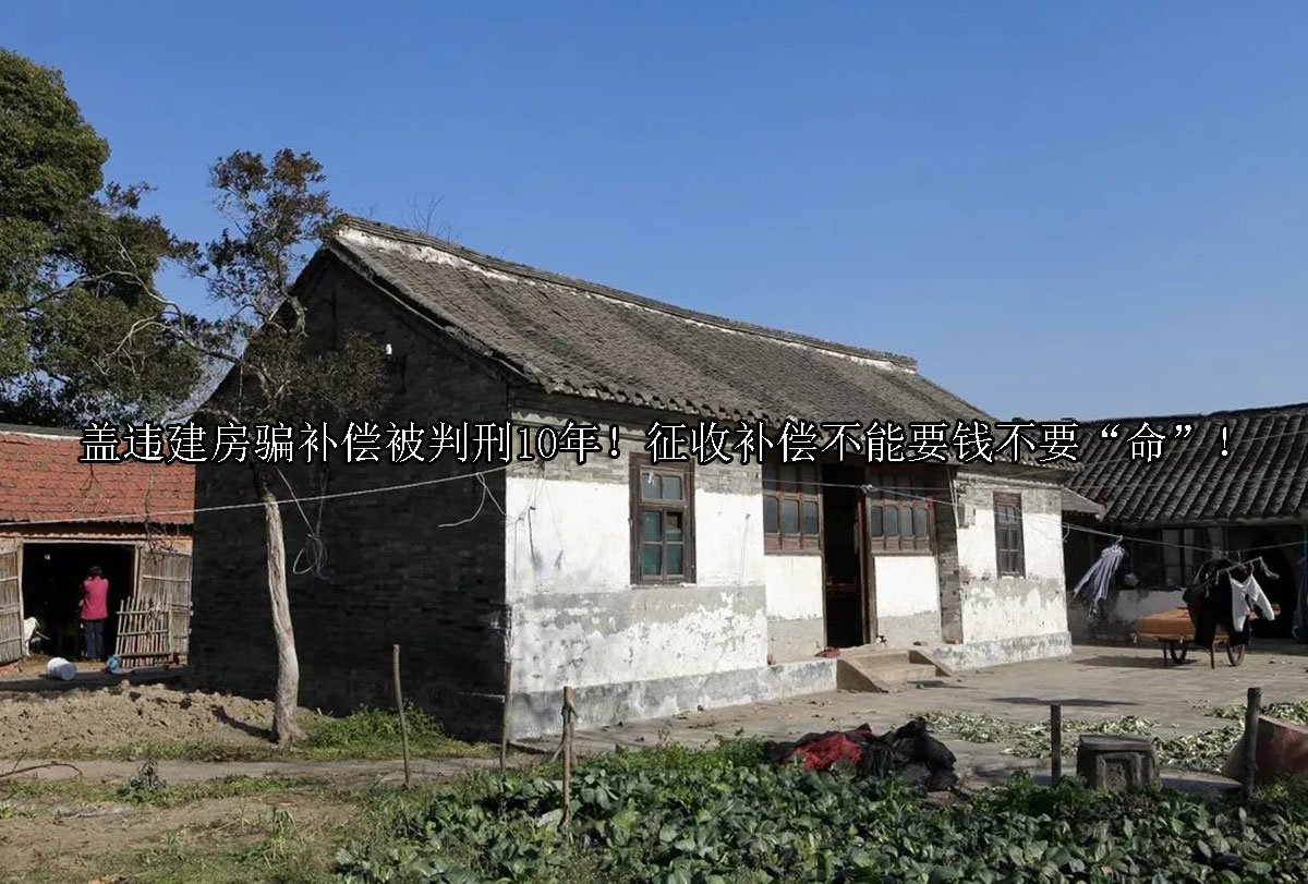 盖违建房骗补偿被判刑10年！征收补偿不能要钱不要“命”！