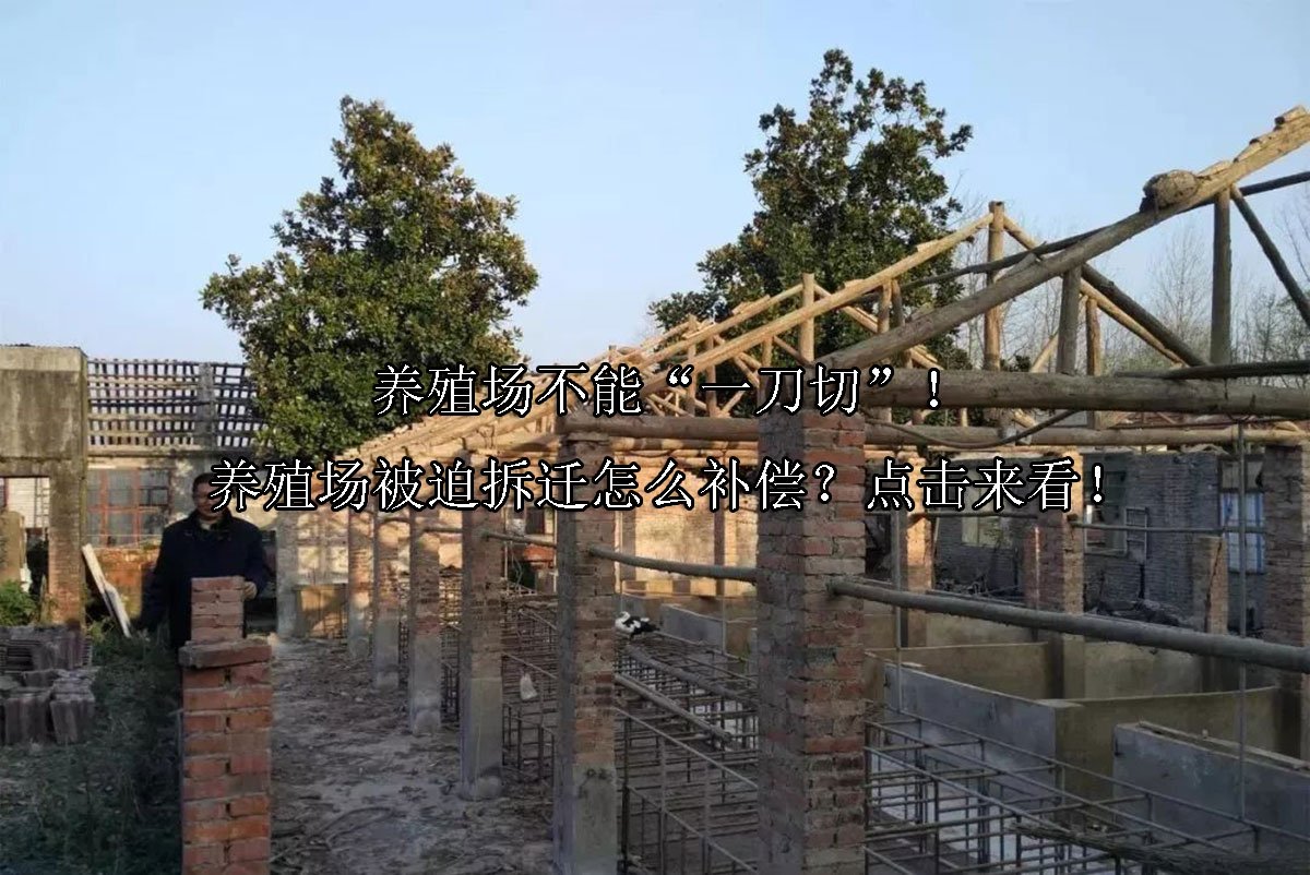 养殖场不能“一刀切”！养殖场被迫拆迁怎么补偿？点击来看！
