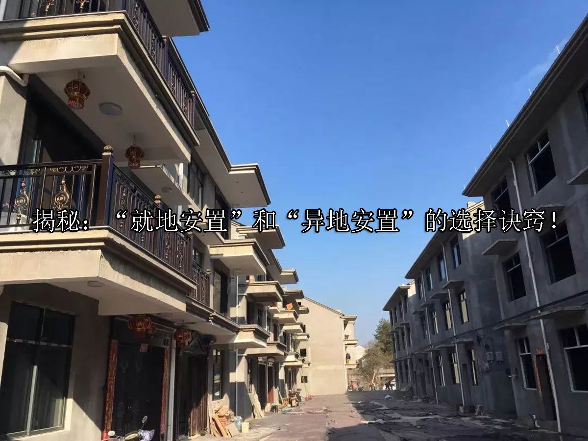 揭秘：“就地安置”和“异地安置”的选择诀窍！