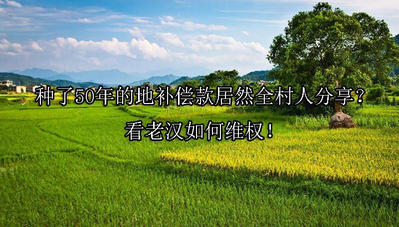 种了50年的地补偿款居然全村人分享？看老汉如何维权！