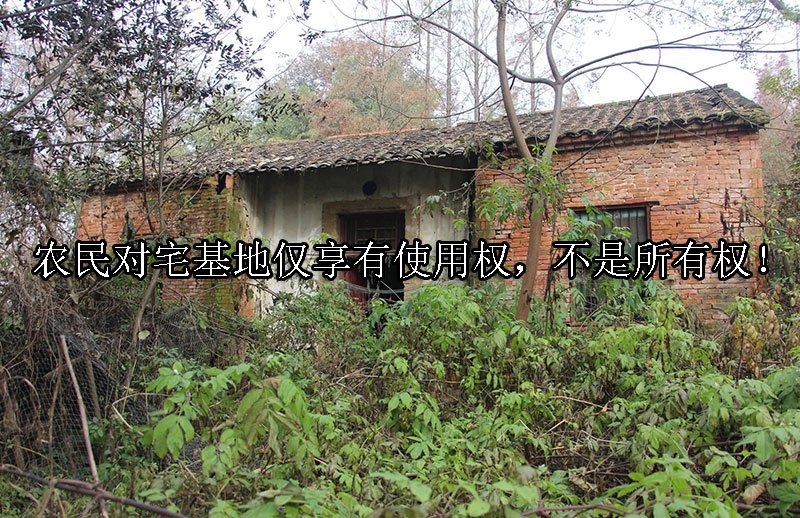 农民对宅基地仅享有使用权，不是所有权！