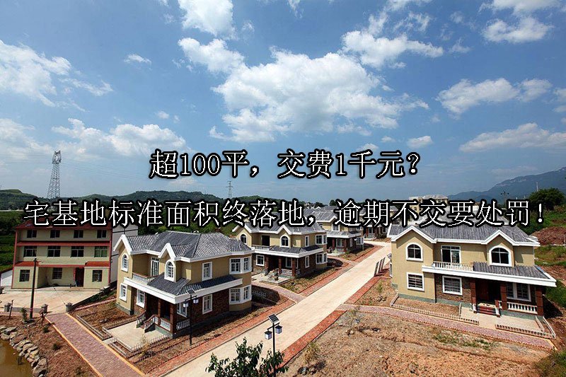 超100平，交费1千元？宅基地标准面积终落地，逾期不交要处罚！
