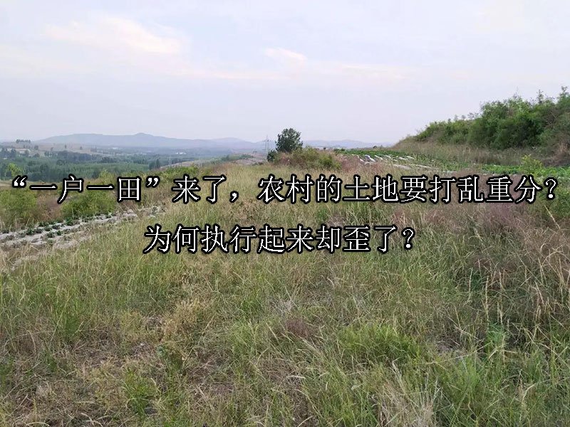 “一户一田”来了，农村的土地要打乱重分？为何执行起来却歪了？