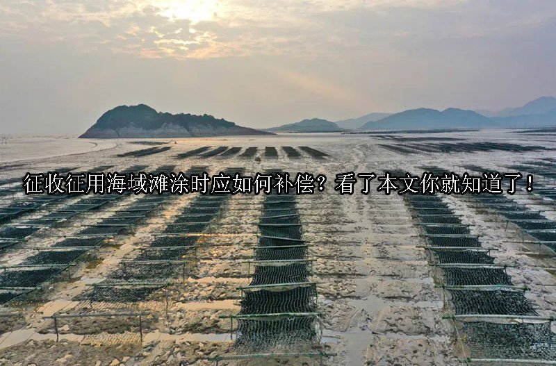 征收征用海域滩涂时应如何补偿？看了本文你就知道了！