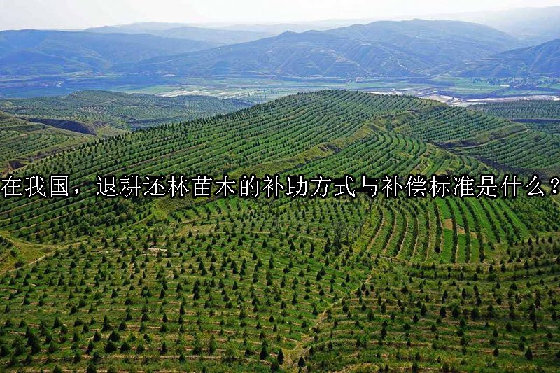 在我国四川成都，退耕还林苗木的补助方式与补偿标准是什么？