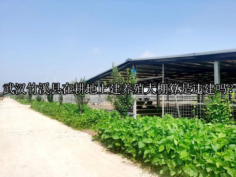 武汉竹溪县在耕地上建养殖大棚算是违建吗？