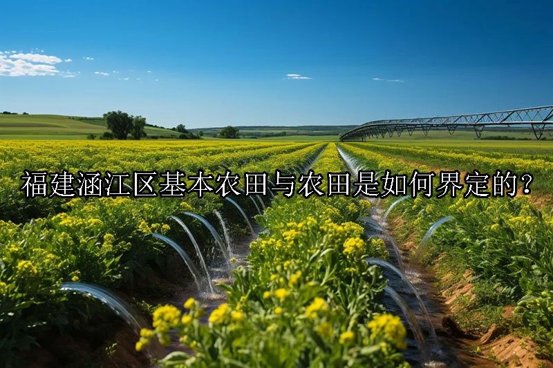 福建涵江区基本农田与农田是如何界定的？