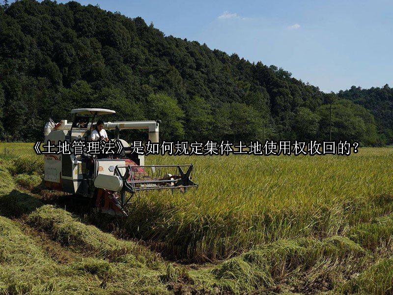 《土地管理法》是如何规定集体土地使用权收回的？