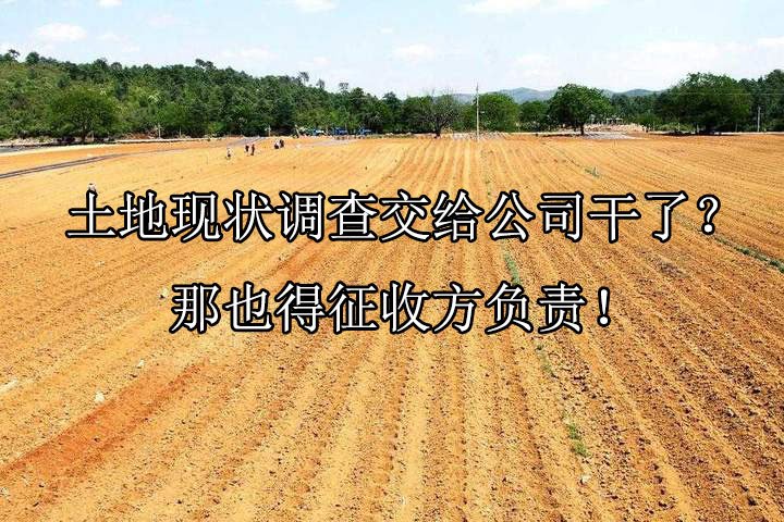 土地现状调查交给公司干了？那也得征收方负责！