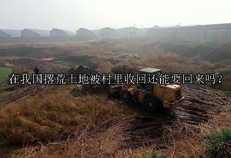 在我国撂荒土地被村里收回还能要回来吗？