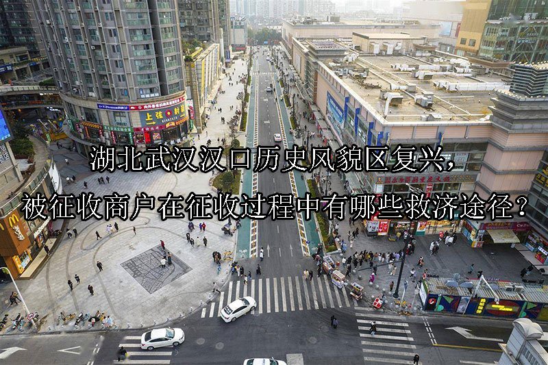 湖北武汉汉口历史风貌区复兴，被征收商户在征收过程中有哪些救济途径？