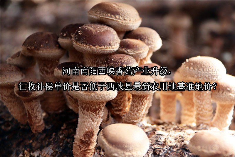 河南南阳西峡香菇产业升级，征收补偿单价是否低于西峡县最新农用地基准地价？