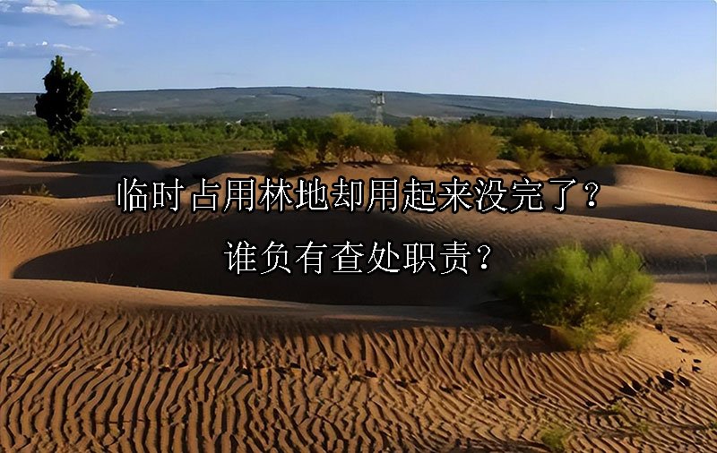 临时占用林地却用起来没完了？谁负有查处职责？