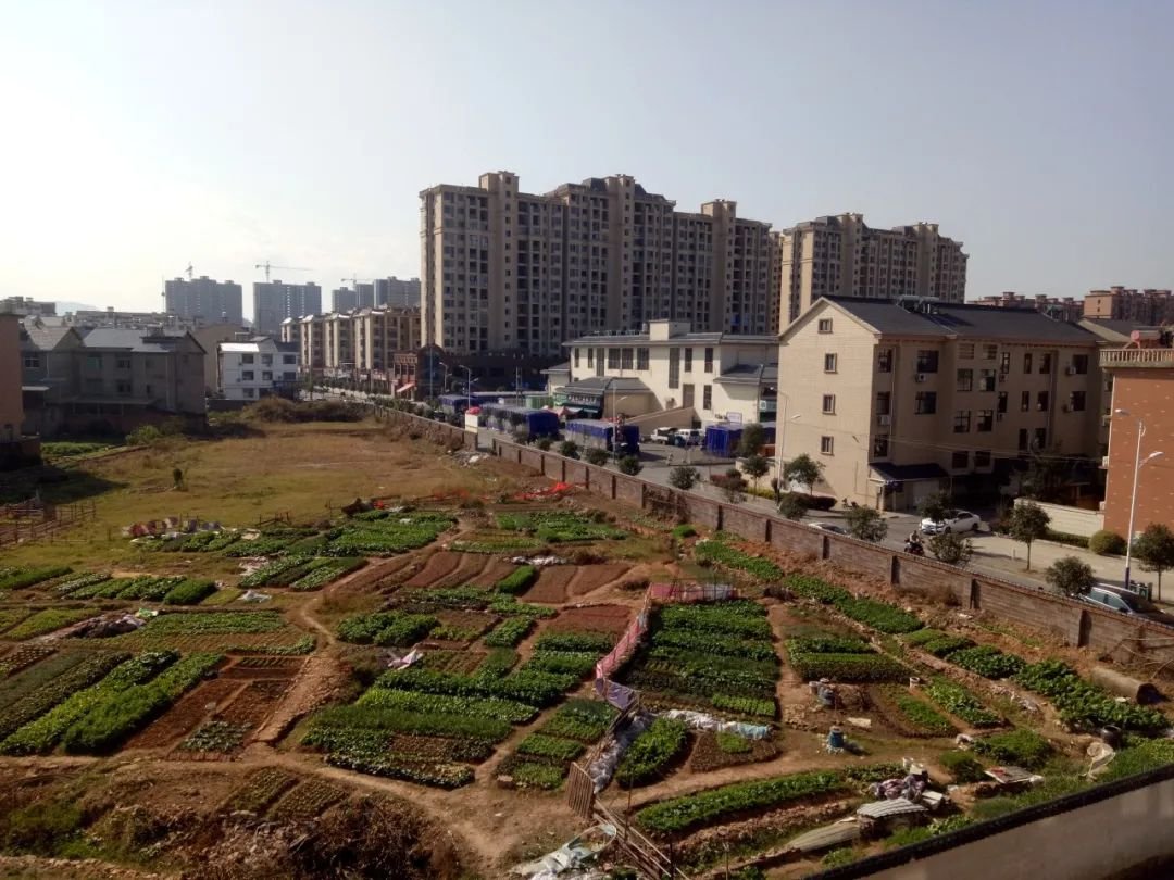江苏无锡玉祁街道五牧村商铺纠纷：建设用地补偿为何低于农用地？
