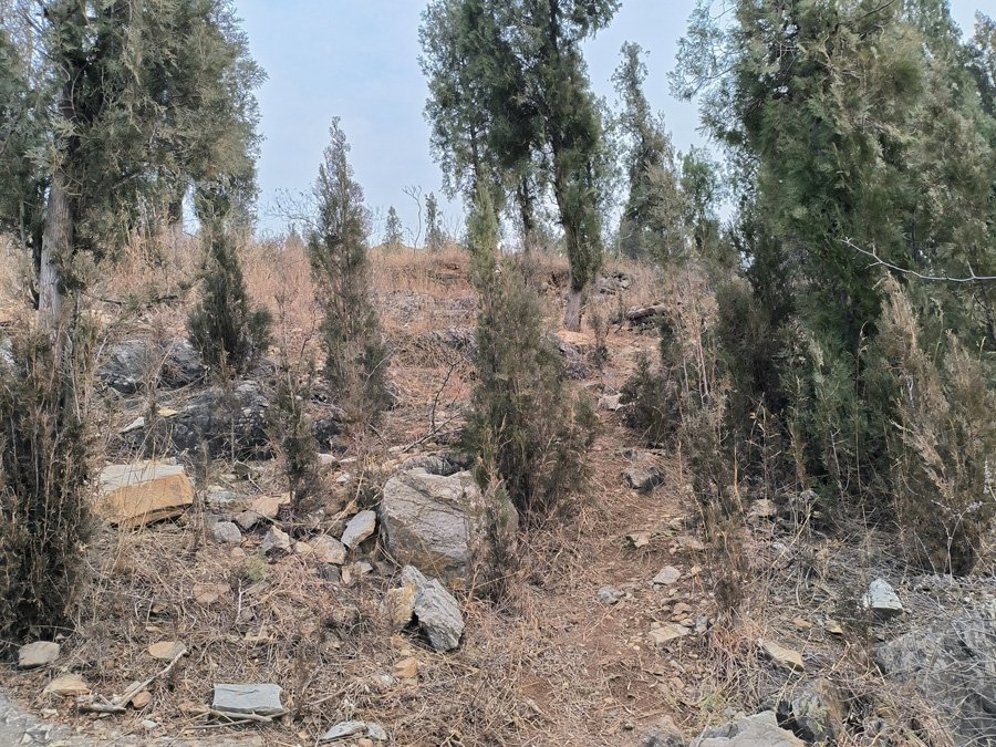 集体荒山荒地征收该如何分配？
