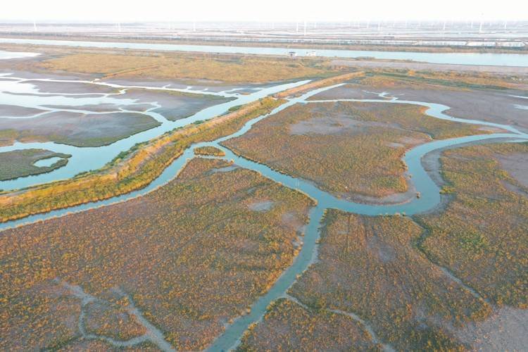江苏盐城违建拆除的“一刀切”，是否区分了历史成因与经营损失？