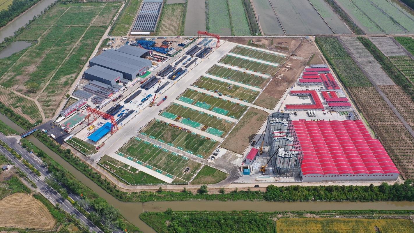 上海市崇明区高铁沿线征收，其宅基地与房屋补偿标准如何确定？