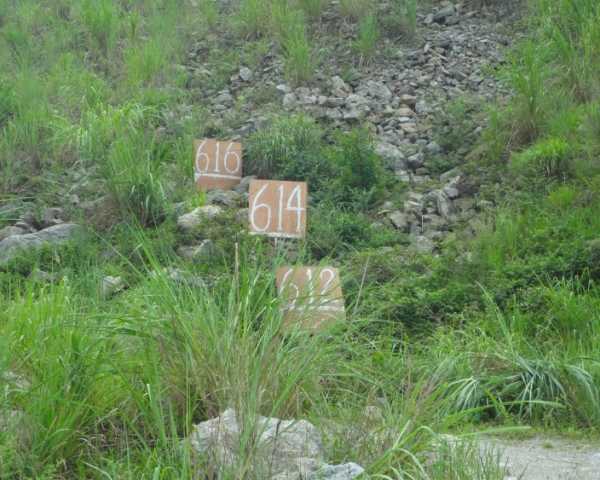 四川省绵阳市水库搬迁补偿标准的历史差异如何认定？