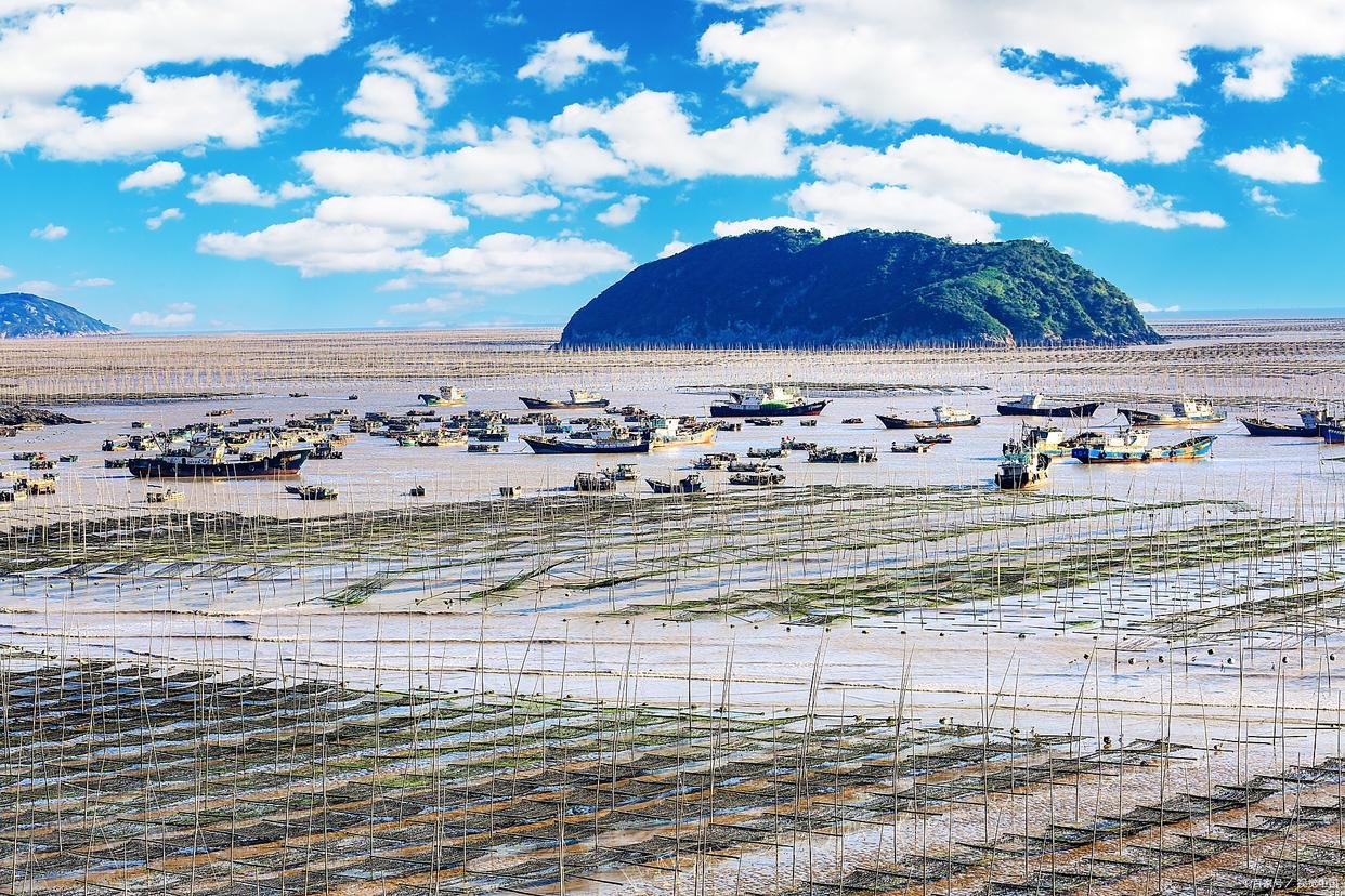 滩涂强制清理是否属于行政强制，企业如何区分适用程序？