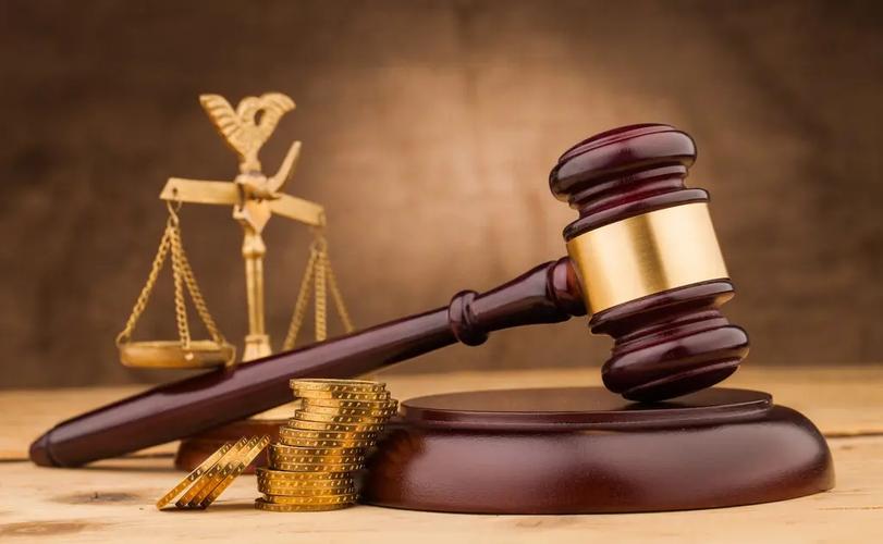 被征收人对地类认定不服，能否向人民政府申请裁决？
