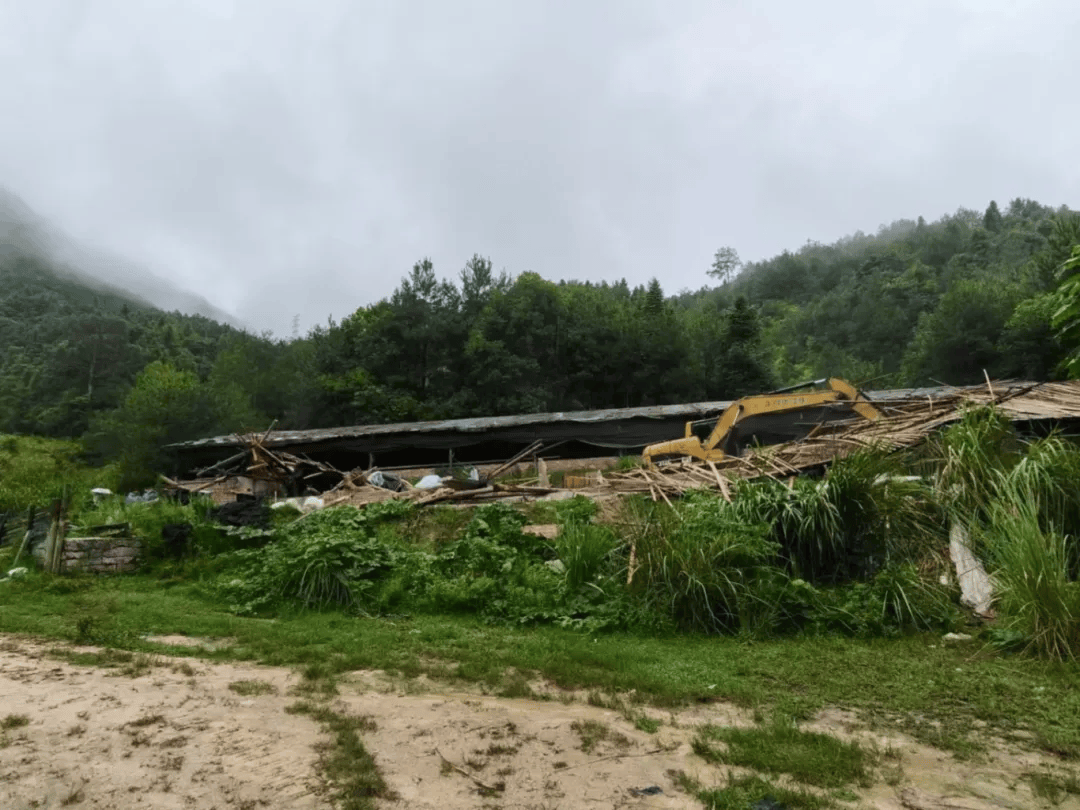 严禁耕地占用，养殖厂房拆迁可否获得商铺等价安置？