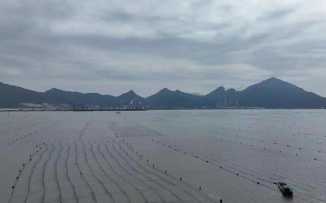 养殖清退补偿，能否参照邻近海域同类市场评估价核定？   