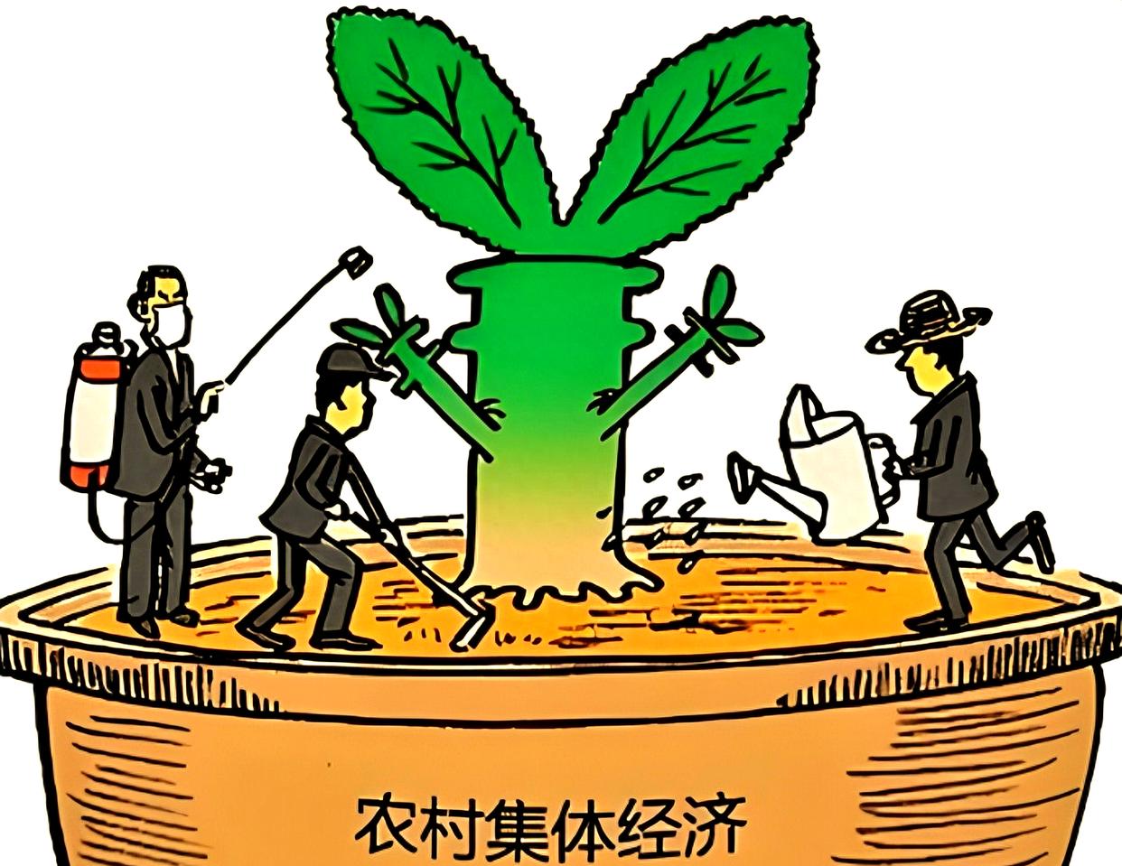 被征地集体经济组织成员，过半异议能否启动听证程序？