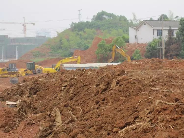 大兴区群体拆迁中，不同权属主体的补偿标准是否存在差异？