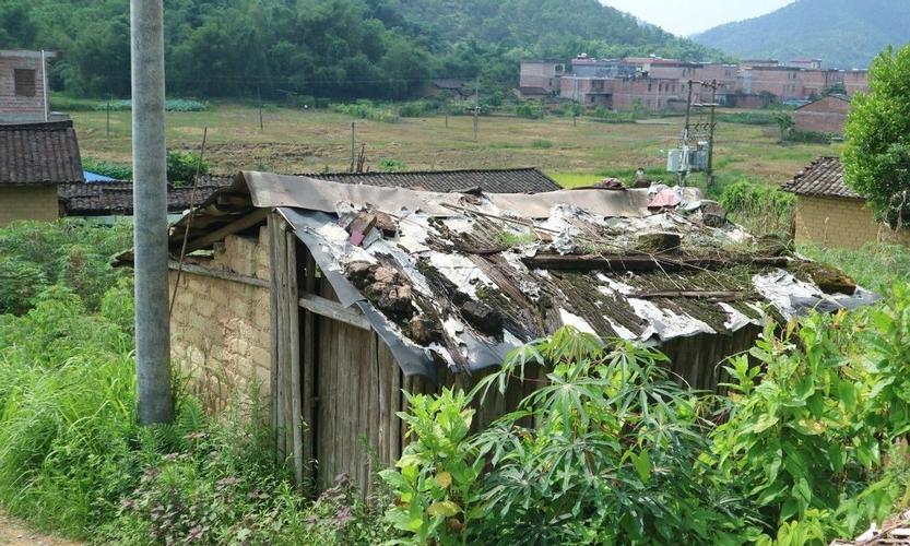 群体搬迁，安置方案能否保障养殖户过渡期生产连续性？