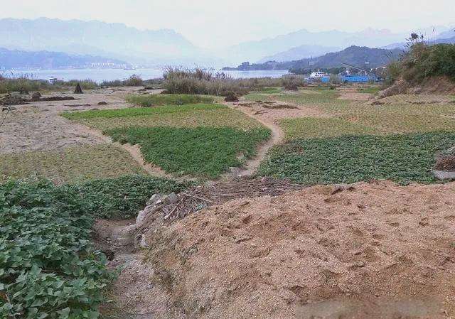只线上发征地公告？法院直接判违法