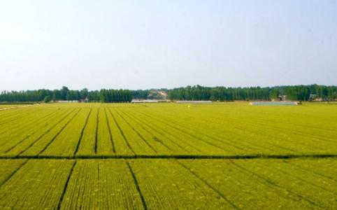 农村土地承包 农村土地承包