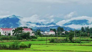 利用集体土地建设租赁住房,农村集体长期增收有着落! 利用集体土地建设租赁住房,农村集体长期增收有着落!