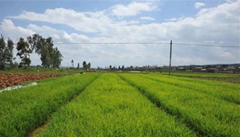 河南省征地区片综合地价改名了!背后的学问不可不知! 河南省征地区片综合地价改名了!背后的学问不可不知!