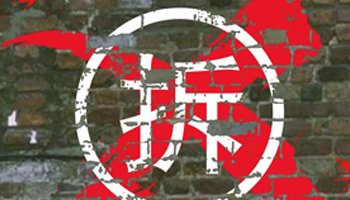 安顺公交坠湖，强拆真的是最后一根稻草吗？