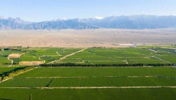 租8700亩耕地建新区,其中还有永久基本农田?违法! 租8700亩耕地建新区,其中还有永久基本农田?违法!