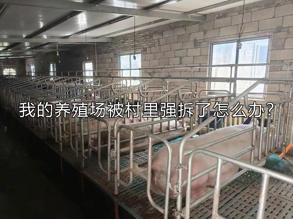 dc152aee8dded3ca4967afeec94fdd2a.jpg