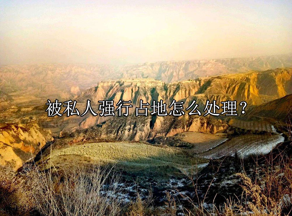 681c595fc2e68bdc788d60ed42c69520.jpg